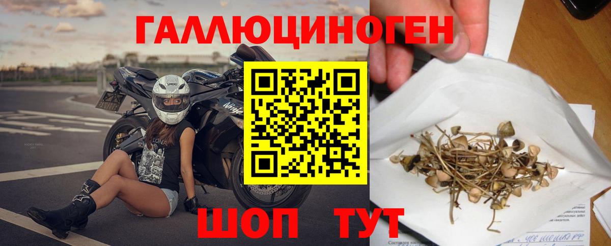 Галлюциногенные грибы прущие грибы  Вход с VPN  Менделеевск 